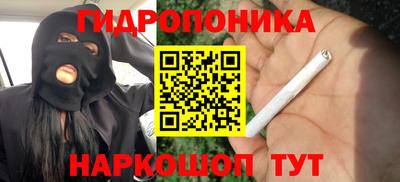 стаф Бугуруслан